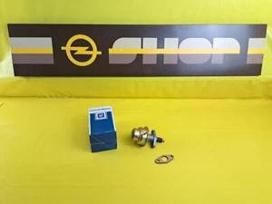 Benzinpumpe Opel CiH 1,5 - 1,7 Liter + Blitz 1,9 Tonner 1,9 Liter Original Neu - Bild 1 von 6