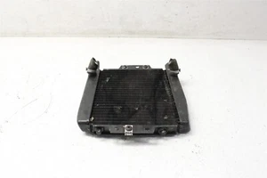 2009 Piaggio MP3 250 Radiator 09-12 - Picture 1 of 10