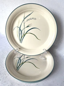 Corelle Coastal Breeze Mittagessen Teller 8 1/2" eingestellt - 4er Set Sehr guter Zustand - Bild 1 von 2