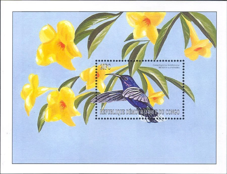 Democratic Republic Congo 2000 Birds/Hummingbird/Nature/Wildlife 1v m/s (b9788j) - Image 1 of 1