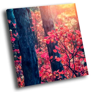 Red Grey Tree Sunrise Nature Square Scenic Canvas Wall Art Large Picture Print - Picture 1 of 6