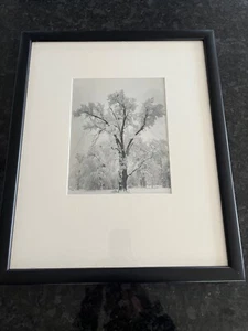 Ansel Adams Yosemite Oaktree Snowstorm Limited Edition Original Alan Ross Print - Picture 1 of 12