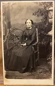 CDV Retrato Mujer Silla Fondo Pintado Tarjeta de Visita 1860 Allegheny City PA - Imagen 1 de 2