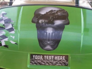 Juego de gráficos de calavera de metal rasgado a todo color para carrito de golf APTO para todo el año y modelo EZG - Imagen 1 de 3