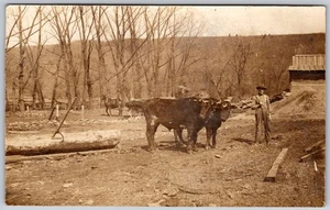 RPPC 1907-1909 Man Poses with Oxen Logging Scene RARE ANTIQUE Postcard 9096 - Picture 1 of 2