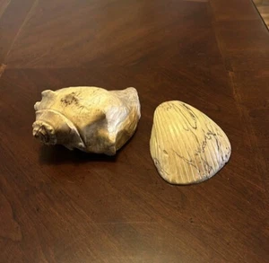 Geschnitzte Muscheln - Bild 1 von 8