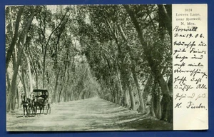 Roswell New Mexico nm Lovers Lane old postcard - Picture 1 of 2
