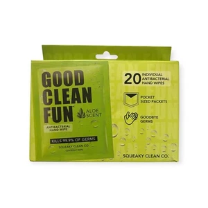 2 Pckgs - Good Clean Fun Antibacterial Hand Wipes Aloe Scent 20 Ct Pocket Size - Picture 1 of 2