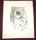 Vtg E.f Ernest Muehlmatt Owl Print Hand Signed Maryland Shore Nature Artist Art
