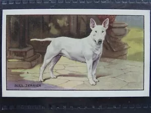 THE BULLTERRIER Hunde 'A' Serie von Gallaher Ltd 1936 - Bild 1 von 1