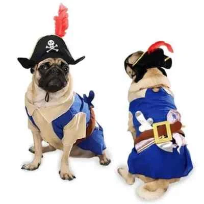 Fantasia de cachorro filhote pirata por Zack & Zoey nova Halloween XS–L ARRR você está pronto Matey? - Imagem 1 de 2