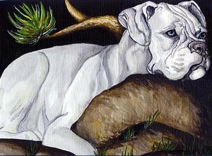 WHITE BOXER 8x10 Signed Dog Art PRINT of Original Watercolor Painting by VERN - Imagen 1 de 1