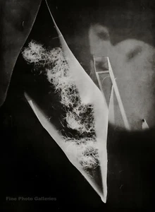 1923/34 Original MAN RAY Rayogram Photogram Abstract Still Life Photo Gravure - Picture 1 of 1