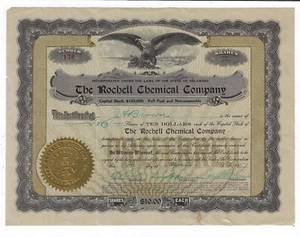 ILLINOIS 1917 The Rochell Chemical Company Stock Certificate - Picture 1 of 2