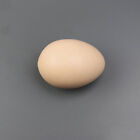 2PCS Realistic Fake Chicken Eggs for Kitchen & Photography Props