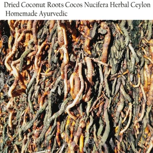 Getrocknete Kokoswurzeln Cocos Nucifera Kräuter Ceylon hausgemacht ayurvedisch 70g - Bild 1 von 5