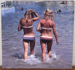 RARE Private MATT WHIPKEY Penny Park 2013 Indie Rock 2XLP OG Lyric Insert NM/EX+ - Picture 1 of 6