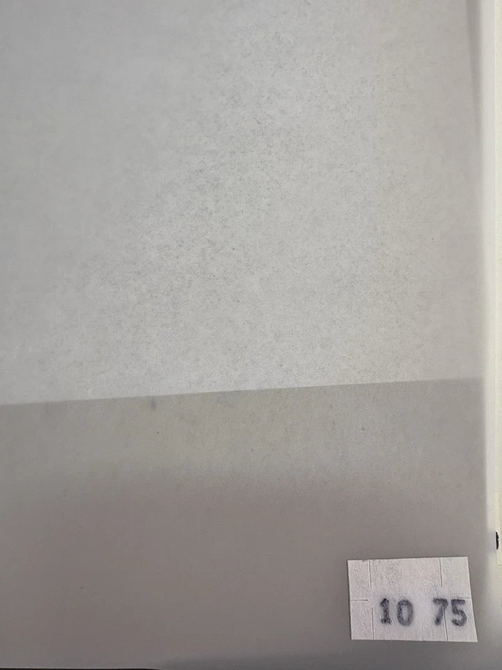 Hoja de gel de iluminación de difusión Rosco Gamcolor 10-75 Premium 216 Foto 1 de 1