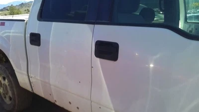 Passenger Door Handle Exterior Door Front Fits 04-14 FORD F150 PICKUP 29167414 Foto 1 de 4