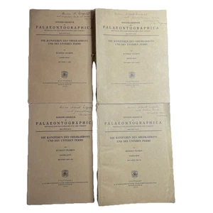 Palaeontographica 1939 Heft 1 - 4 Konifere des Oberkarbons und des unteren Perms - Bild 1 von 16