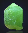 Well Terminated Lustrous Green Peridot Crystal ~ 5.50 Ct