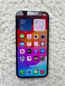 Apple iPhone 13 A2482 128GB AT&T / T-Mobile / Odblokowany - Zdjęcie 1 z 4