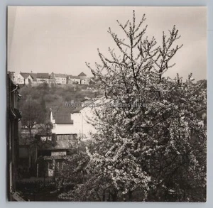 Arnsberg im Sauerland - Frühling Stadtteil - Altes Foto 1960er - Picture 1 of 2