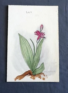 RED LILY FLOWERS HAND PAINTED WATERCOLOR - Picture 1 of 3