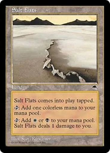 MTG - SALT FLATS - Tempest (R) - Image 1 of 1