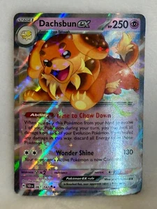 Dachsbun ex - 067/142 Stellar Crown Double Rare Pokemon - NM/MINT - Picture 1 of 6