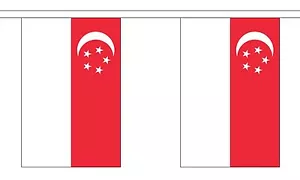 SINGAPUR 9 METER FAHNE 30 FAHNEN Flagge - Bild 1 von 1