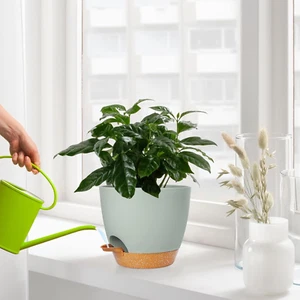 Plant Pots Set of 2 Pack 8 Inch,Planters for Indoor Plants with Drainage Hole... - Picture 1 of 1