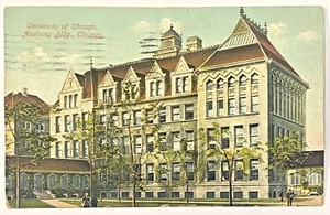 Chicago Illinois Vintage Postkarte 1909 University of Chicago Anatomie Gebäude - Bild 1 von 5