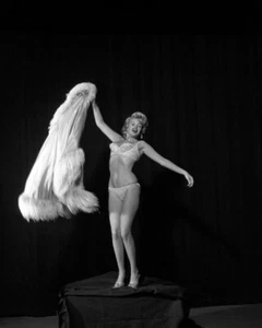 Jayne Mansfield Risque Glamour Pin Up Ropa Interior Exótica Leggy 16x20 Fotografía - Imagen 1 de 1