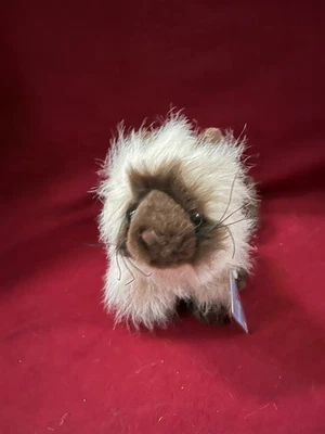 GANZ Webkinz Himalayan Cat WITH CODE - Image 1 of 4