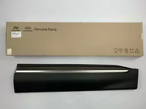 Front Door Lower Molding 2019-2020 Santa Fe Right Passenger Side Garnish Chrome - Foto 1 di 4