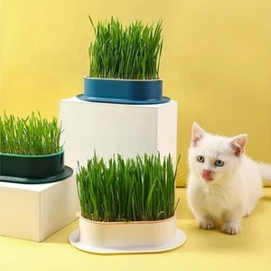 Cat Grass Hydroponic Growing Kit: Support Digestion & Boost Feline Health - Picture 1 of 12