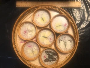 Butterfly wicker/bamboo/rattan 12" tray with 7 - 3" Coasters - 1970s - Picture 1 of 5