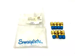 Swagelok B-300-1-2 Ottone Compressione Tubo Raccordo 0.5cm 0.3cm Mnpt Pkg Di 8 - Foto 1 di 11