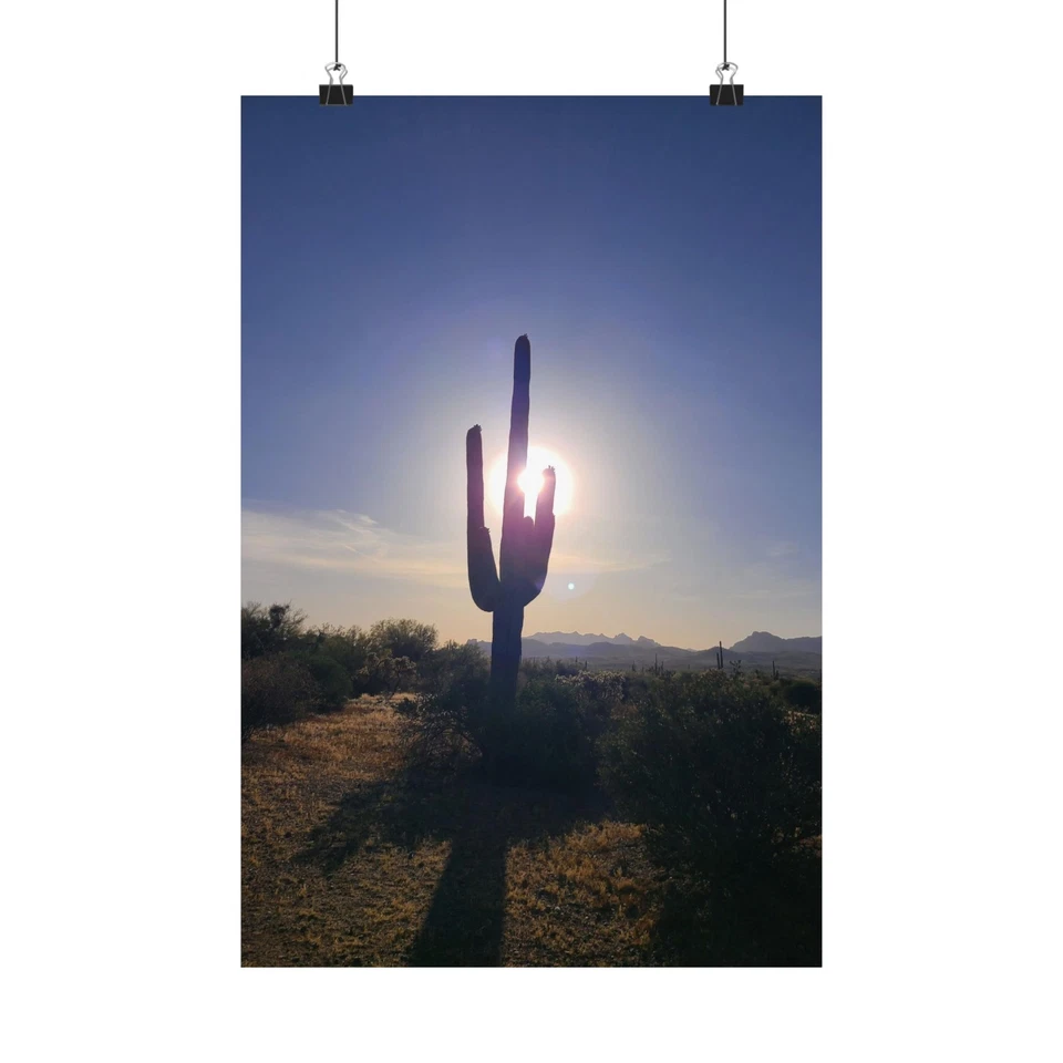 Póster vertical mate premium Sonoran Desert Saguaro Cactus Foto 1 de 1