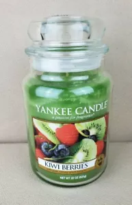 Yankee Candle Kiwi Berries 22 oz Housewarmer RARE HTF - Picture 1 of 6