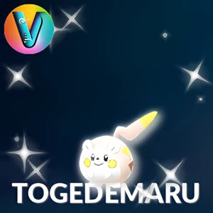 Shiny Togedemaru - Pokémon GO Trade - Brillante - Imagen 1 de 2