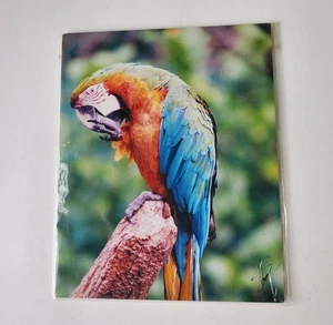 Kunstdruck Künstler signiert Papagei Vogel Natur Tier Wald tropisch 10x8" ungerahmt - Bild 1 von 6