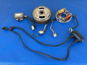 73 74 75 76 Polaris CDI Ignition Stator Flywheel Cdi Coil TX400 TX250 TX340 440 - Picture 1 of 8