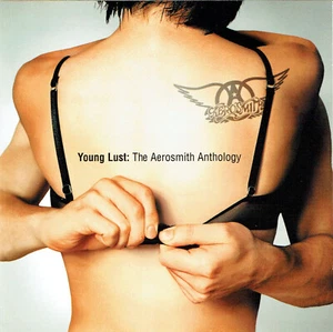 (2CDs) Aerosmith - Young Lust: The Aerosmith Anthology - Cryin', Crazy, u.v.a. - Bild 1 von 2