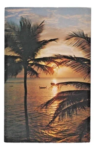 Florida Sunset Palms Ocean Boats Tourism Travel Recreation Posted Sleeved GUC - Picture 1 of 2