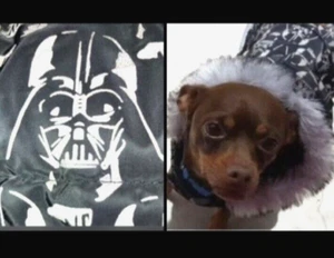 Petco Star Wars Darth Vader REFLECT Coat SMALL MED Dog Hoodie Fur Parka Puffer - Picture 1 of 23