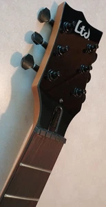 SIN USAR ESP LTD EC-200DX MÁSTIL TABLA ASTILLADA ARCE TOSTADO PALO DE ROSA X-JUMBO - Imagen 1 de 24