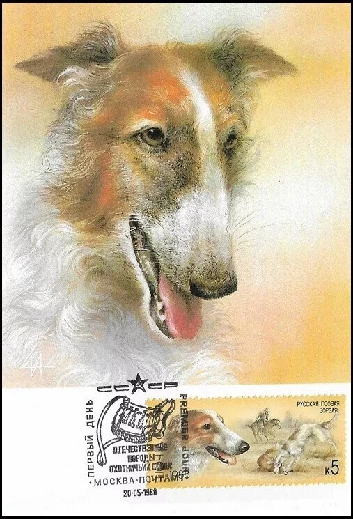 Tarjeta Maxi FDC 1988 Borzoi Wolfhound perro perro perro perro fauna como nueva Foto 1 de 1