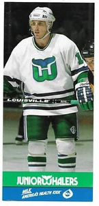 PAT VERBEEK 1989-90 Team Issued Hockey 4" x 8.25" Photo Card Hartford Whalers EX - Picture 1 of 2